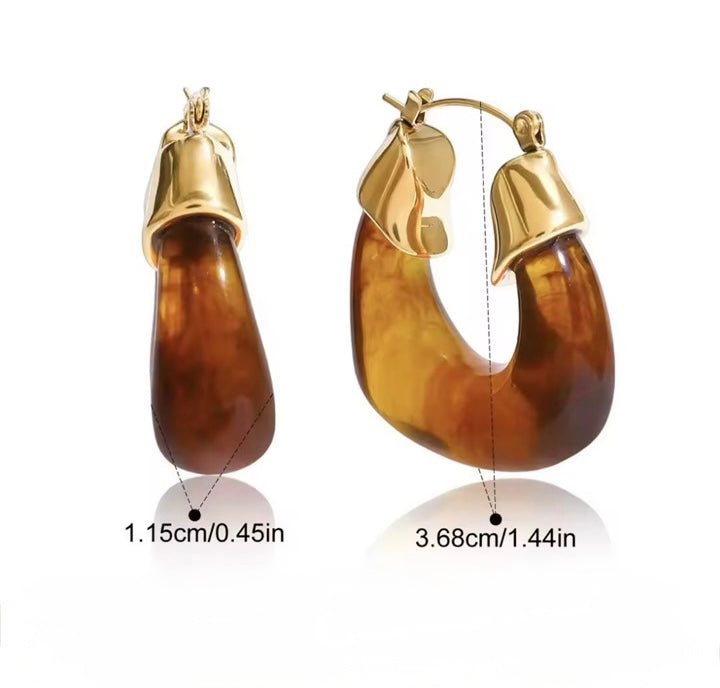 Resin Brown Bold Earring
