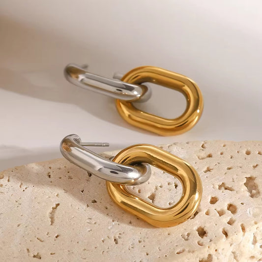 Mixed Link Earrings